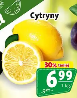 Prim Market Cytryny oferta