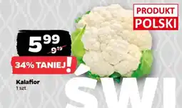 Netto Kalafior oferta