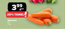 Netto Marchew luz oferta