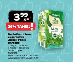 Netto Herbatka ziołowa ekspresowa Mięta oferta