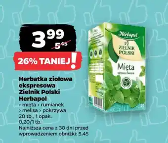 Herbatka ziołowa ekspresowa Mięta