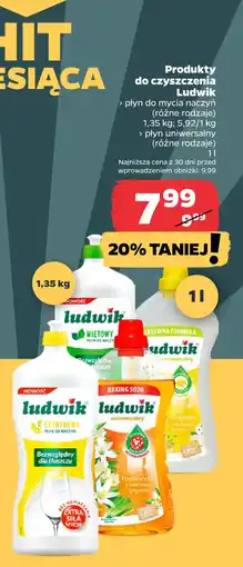 Netto Płyn do mycia naczyń Ludwik oferta