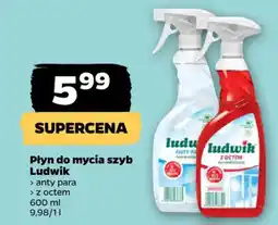 Netto Płyn do mycia szyb Ludwik oferta