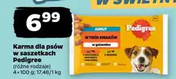 Netto Karma dla psów w saszetkach Pedigree oferta
