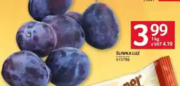 Selgros Śliwka Luz oferta