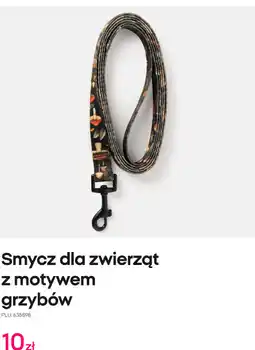 Pepco Smycz dla zwierząt z motywem grzybów oferta