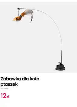 Pepco Zabawka dla kota ptaszek oferta
