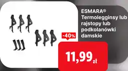 Lidl ESMARA Termolegginsy lub rajstopy lub podkolanówki damskie oferta