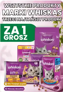 Dino Karma dla kota Whiskas oferta