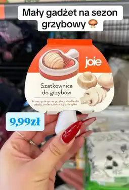Biedronka Joie Szatkownica do grzybów oferta