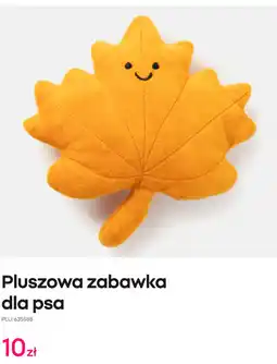 Pepco Pluszowa zabawka dla psa oferta
