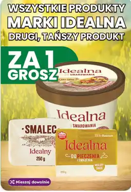 Dino Wszystkie produkty marki Idealna oferta