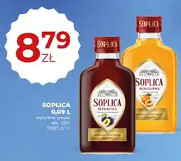 Duży Ben Soplica Śliwkowa oferta