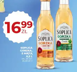 Duży Ben Soplica Gorzka oferta