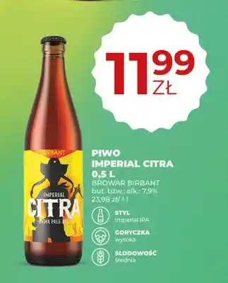 Duży Ben Piwo Imperial Citra Birbant oferta
