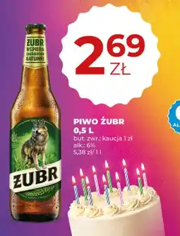 Duży Ben Piwo Żubr oferta