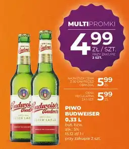 Duży Ben Piwo Budweiser oferta