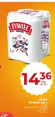 Duży Ben Piwo Żywiec 4-pak oferta