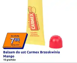 Action Balsam do ust Carmex oferta