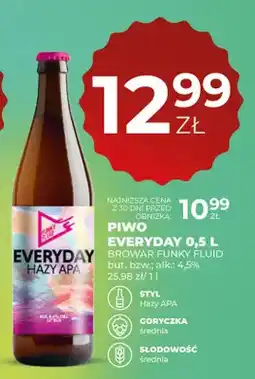 Duży Ben Piwo Everyday Browar Funky Fluid oferta