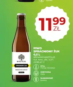 Duży Ben Piwo Spragniony Żuk Browar Miastolas oferta