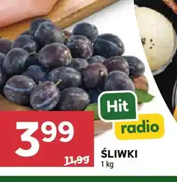 Stokrotka Śliwki oferta