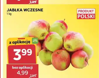 Stokrotka Jabłka wczesne oferta