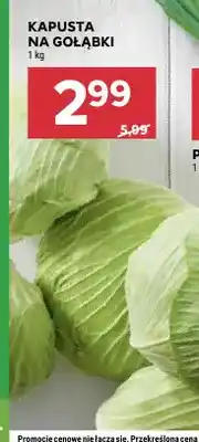 Stokrotka Kapusta na gołąbki oferta
