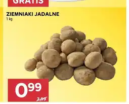Stokrotka Ziemniaki jadalne oferta