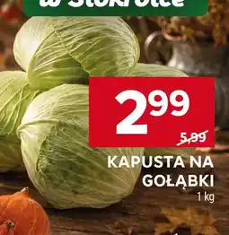 Stokrotka Kapusta na gołąbki oferta