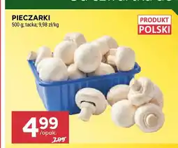 Stokrotka Pieczarki oferta