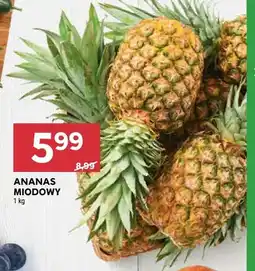Stokrotka Ananas miodowy oferta