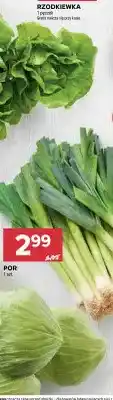 Stokrotka Por oferta