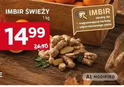 Stokrotka Imbir świeży oferta