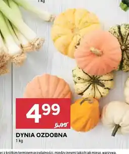 Stokrotka Dynia ozdobna oferta