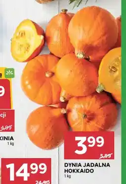 Stokrotka Dynia jadalna Hokkaido oferta