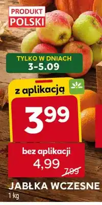 Stokrotka Jabłka wczesne oferta