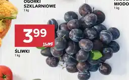 Stokrotka Śliwki oferta