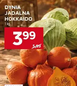 Stokrotka Dynia jadalna Hokkaido oferta