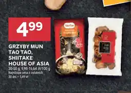 Stokrotka Grzyby mun Tao oferta