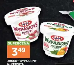 Stokrotka Jogurt Wypasiony Mlekovita oferta