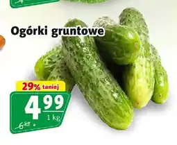 Prim Market Ogórki gruntowe oferta