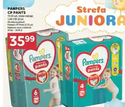 Stokrotka Pieluchomajtki Pampers CP Pants oferta