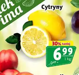 Prim Market Cytryny oferta