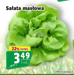 Prim Market Sałata masłowa oferta