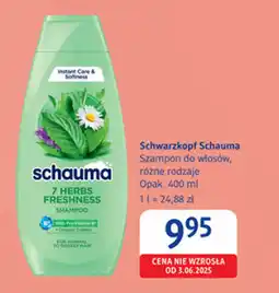 dm drogerie markt Schwarzkopf Schauma Szampon do włosów, różne rodzaje oferta