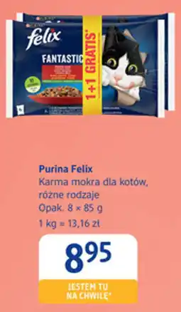 dm drogerie markt Purina Felix Karma mokra dla kotów, różne rodzaje oferta