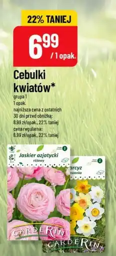 Polomarket Cebulki kwiatów* oferta