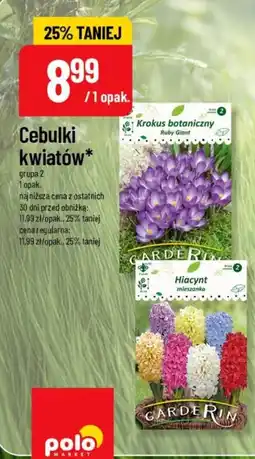 Polomarket Cebulki kwiatów* oferta