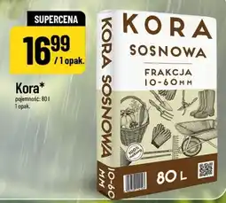 Polomarket Kora Sosnowa oferta